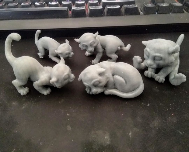 baby Tigers 5 poses 3D Print 283697
