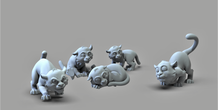 Image 283699