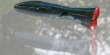 Image 283881