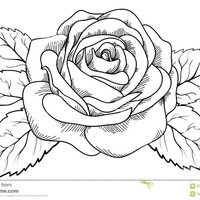 Rose Pencil Holder - Thumbnail 6