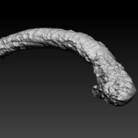 Presto The Magician - Thumbnail 9