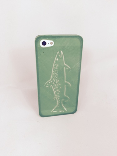 Mountain Brook Trout, iPhone 5/5s Case 3D Print 28491