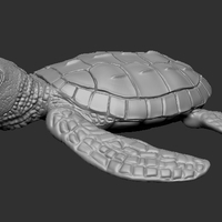Small Baby Turtle 3D Printing 284913