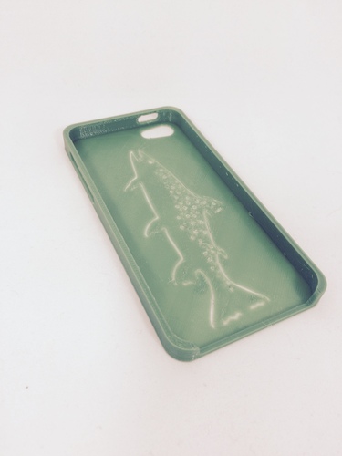 Mountain Brook Trout, iPhone 5/5s Case 3D Print 28493