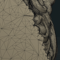 Stylized Wolf head - Thumbnail 1