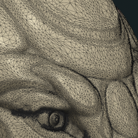 Stylized Wolf head - Thumbnail 2