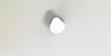 Image 285194