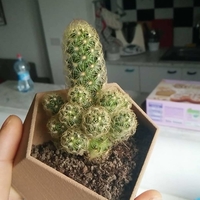 FRIDGE MAGNETIC VASE - Thumbnail 3