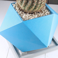 Spikey Planter - Thumbnail 3