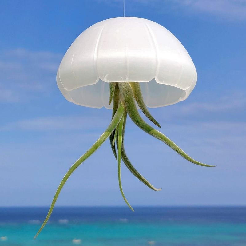 Jellyfish air plant holder