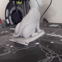 Seated Shih Tzu  - Thumbnail 1