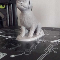 Seated Shih Tzu  - Thumbnail 2