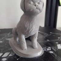 Seated Shih Tzu  - Thumbnail 3