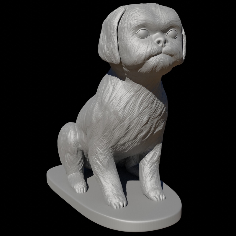 Seated Shih Tzu 