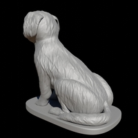 Seated Shih Tzu  - Thumbnail 5