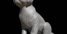Image 285535