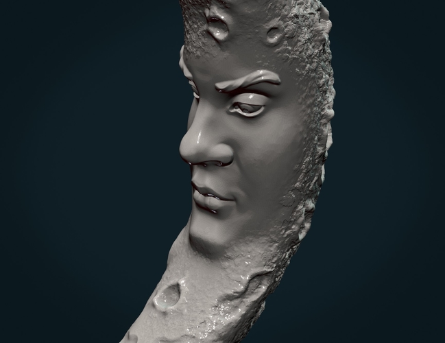 Crescent with face 3D Print 285677