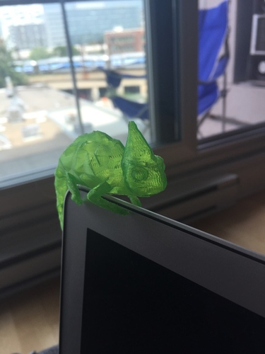 Chameleon 3D Print 28610