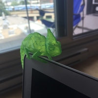Chameleon - Thumbnail 2