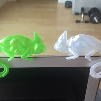 Small Chameleon 3D Printing 28612