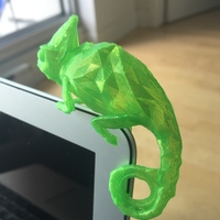 Chameleon - Thumbnail 4