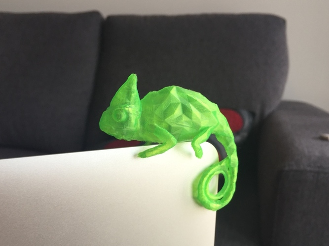 Chameleon 3D Print 28614