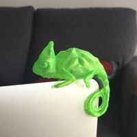 Chameleon - Thumbnail 5