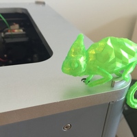 Chameleon - Thumbnail 6