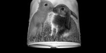 Image 286628