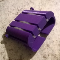 Tiger paw - Thumbnail 2