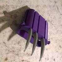 Tiger paw - Thumbnail 3