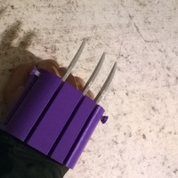 Tiger paw - Thumbnail 4