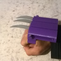 Tiger paw - Thumbnail 5