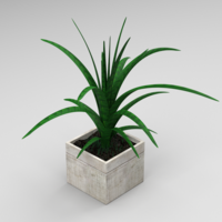 Small Plant in the flowerbed 3D Printing 286999