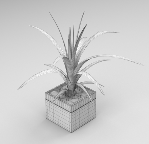 Plant in the flowerbed 3D Print 287000