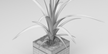 Image 287000