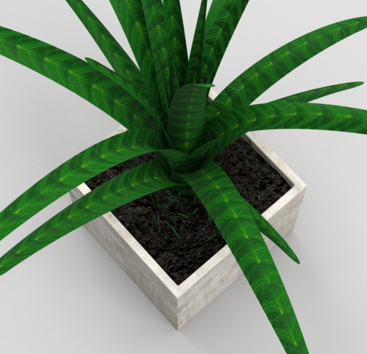 Plant in the flowerbed 3D Print 287001