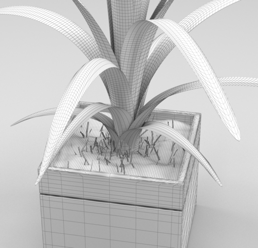 Plant in the flowerbed 3D Print 287002