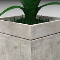 Plant in the flowerbed - Thumbnail 5
