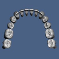 Natural human teeth anatomy maxillary and mandibular  - Thumbnail 5