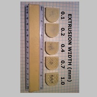 Extrusion Width Testing of 3D Printed Specimens - Thumbnail 2