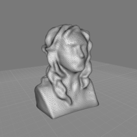 Small Simple_Woman_head_scan 3D Printing 287774