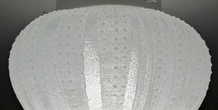 Image 287819