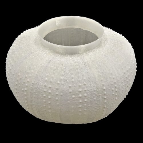 Sea Urchin Light 3D Print 287820