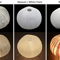 Sea Urchin Light - Thumbnail 4