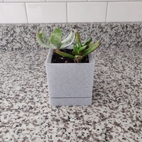 Minimal Planter with Drainage - Thumbnail 4