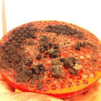 Dots Ice Cream Mold - Diy Dippin Dots without Liquid Nitrogen - Thumbnail 7