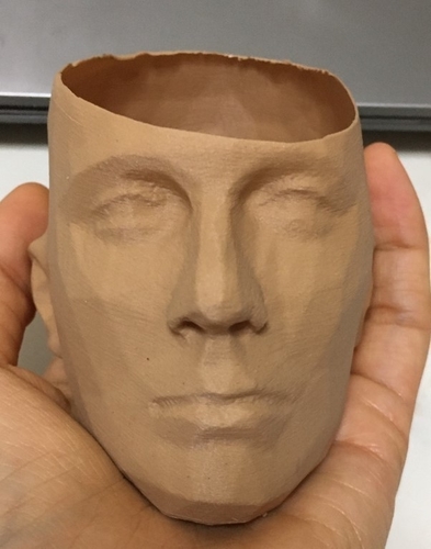 pot /man face flowerpot 3D Print 288607