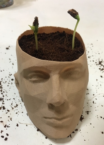 pot /man face flowerpot 3D Print 288608