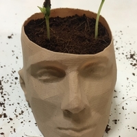 pot /man face flowerpot - Thumbnail 2